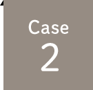 case 2