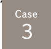 case 3